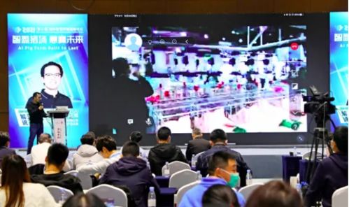 这一场国际智慧养猪落地盛宴 智盈猪场，慧赢未来